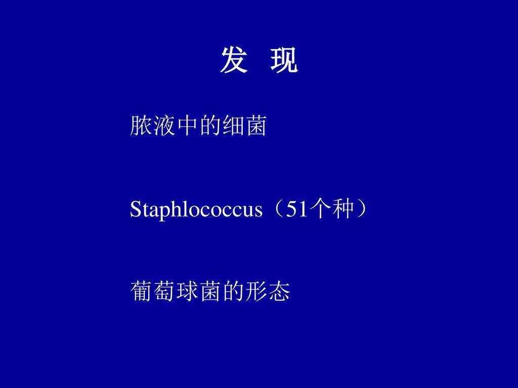 发 现 脓液中的细菌 Staphlococcus（51个种） 葡萄球菌的形态