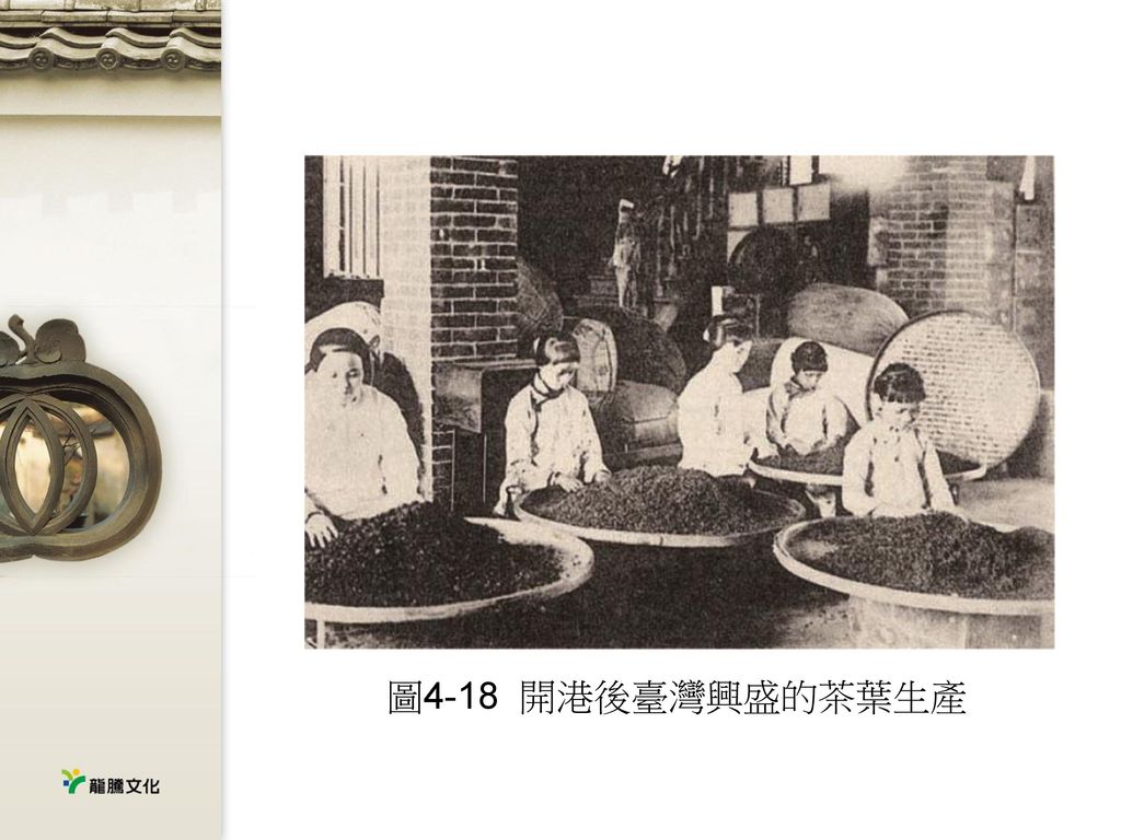 圖4-18 開港後臺灣興盛的茶葉生產