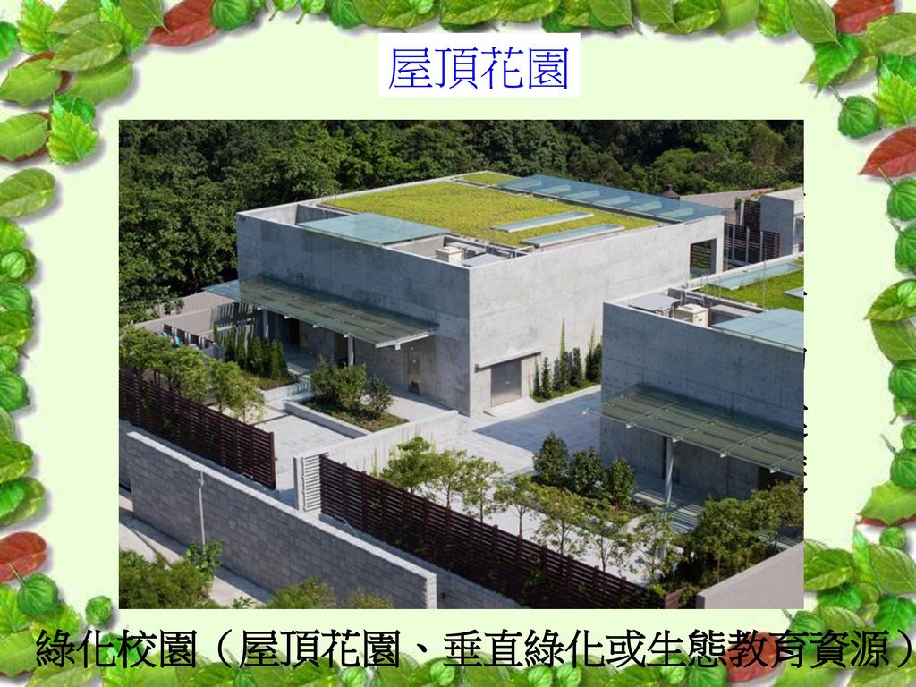 綠化校園（屋頂花園、垂直綠化或生態教育資源）