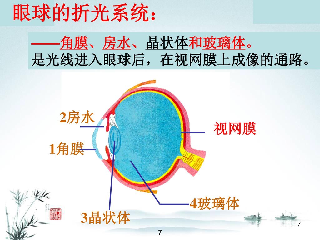 眼球的折光系统： ——角膜、房水、晶状体和玻璃体。 是光线进入眼球后，在视网膜上成像的通路。 2房水 2房水 1角膜 视网膜 1角膜