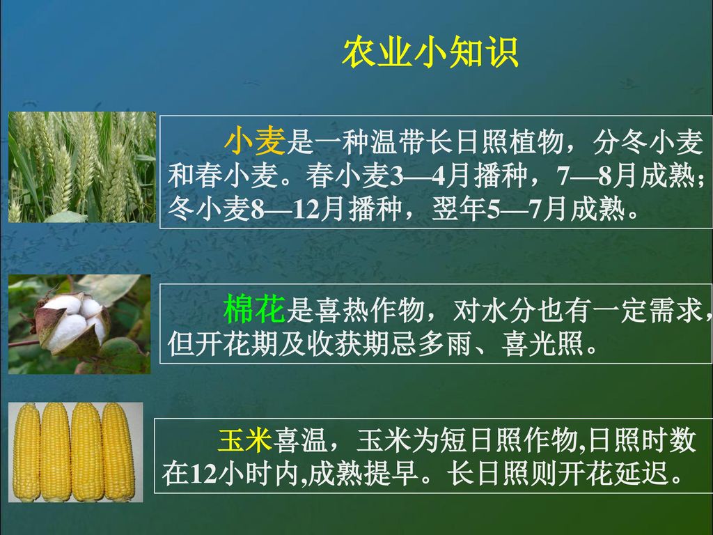 农业小知识 小麦是一种温带长日照植物，分冬小麦和春小麦。春小麦3—4月播种，7—8月成熟；冬小麦8—12月播种，翌年5—7月成熟。