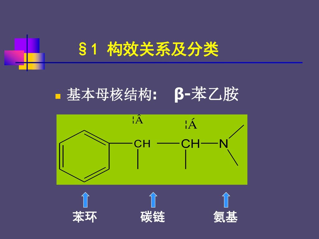 §1 构效关系及分类 基本母核结构: β-苯乙胺 苯环 碳链 氨基