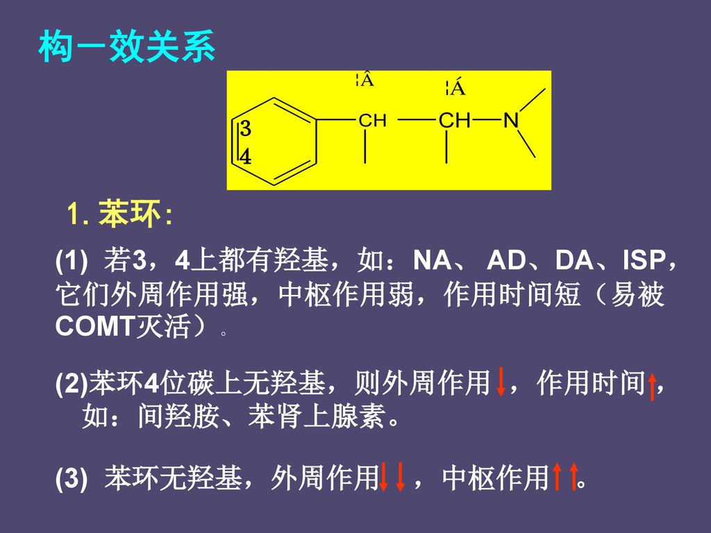 构－效关系 ３. ４. 1.苯环: (1) 若3，4上都有羟基，如：NA、 AD、DA、ISP，它们外周作用强，中枢作用弱，作用时间短（易被COMT灭活）。 苯环4位碳上无羟基，则外周作用 ，作用时间 ，如：间羟胺、苯肾上腺素。