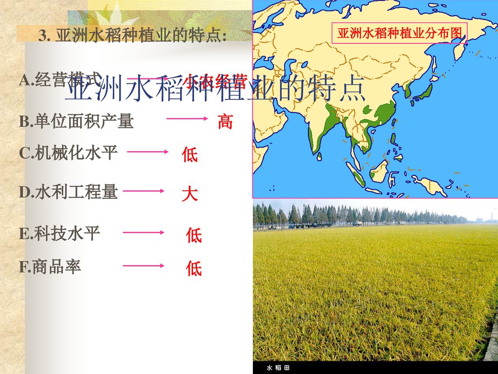 亚洲水稻种植业的特点 3. 亚洲水稻种植业的特点: A.经营模式 小农经营 B.单位面积产量 高 C.机械化水平 低 D.水利工程量 大