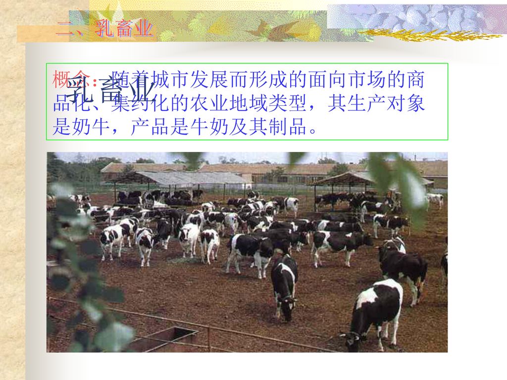 二、乳畜业 乳畜业 概念：随着城市发展而形成的面向市场的商品化、集约化的农业地域类型，其生产对象是奶牛，产品是牛奶及其制品。