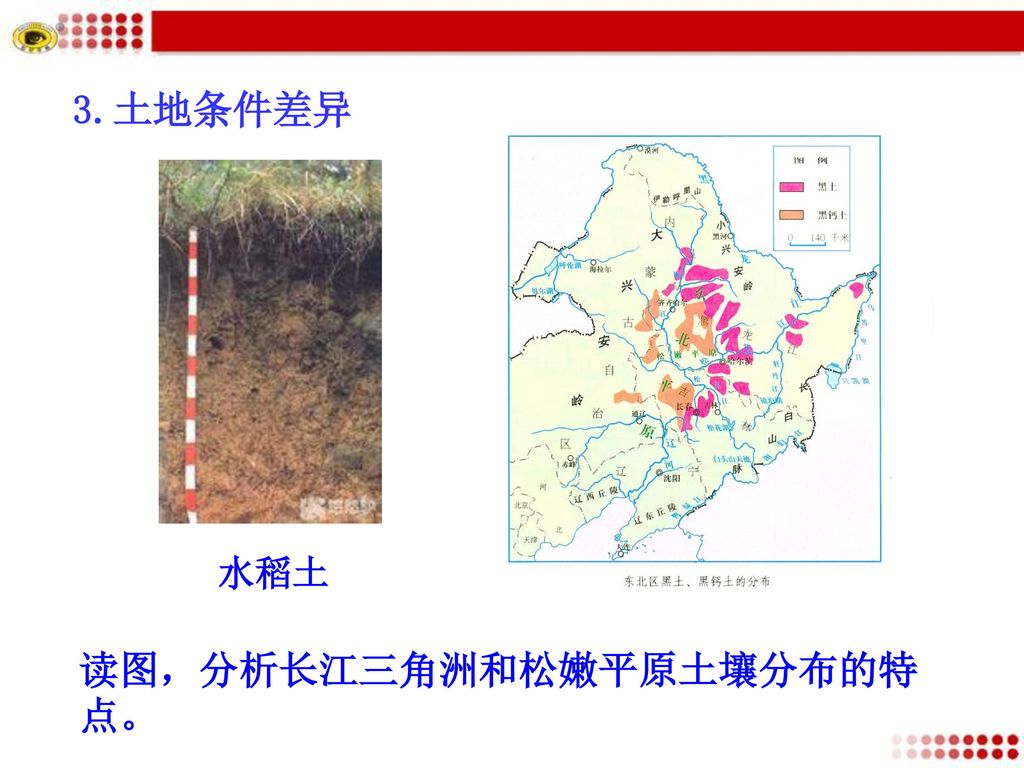 读图，分析长江三角洲和松嫩平原土壤分布的特点。