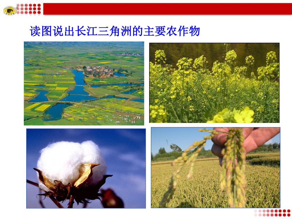 读图说出长江三角洲的主要农作物