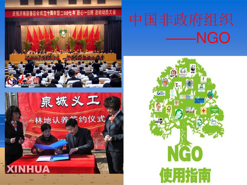 中国非政府组织 ——NGO
