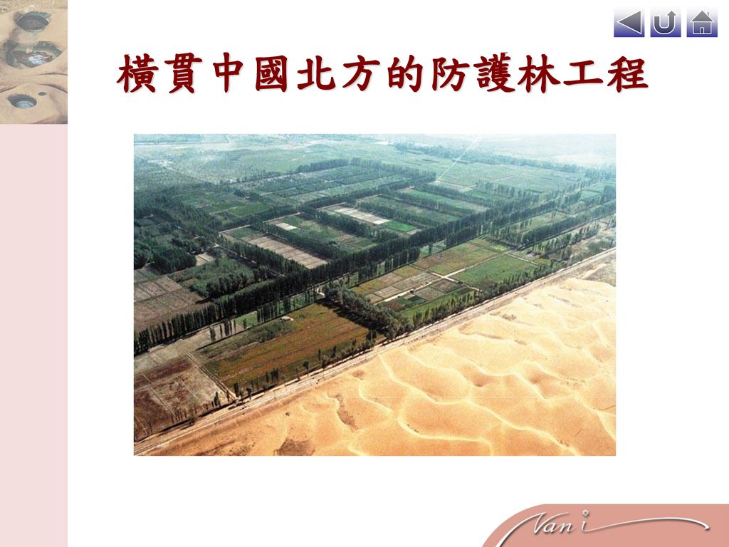 橫貫中國北方的防護林工程