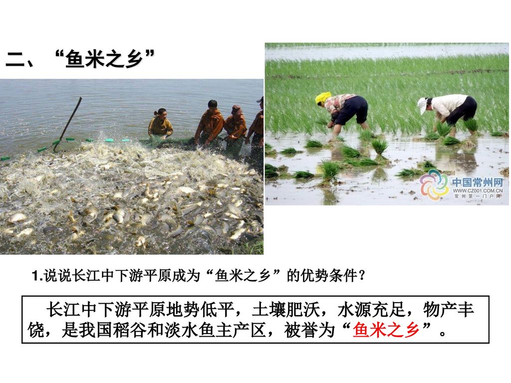 二、 鱼米之乡 长江中下游平原地势低平，土壤肥沃，水源充足，物产丰饶，是我国稻谷和淡水鱼主产区，被誉为 鱼米之乡 。
