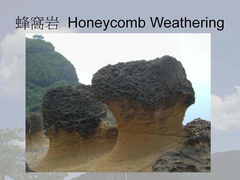蜂窩岩 Honeycomb Weathering