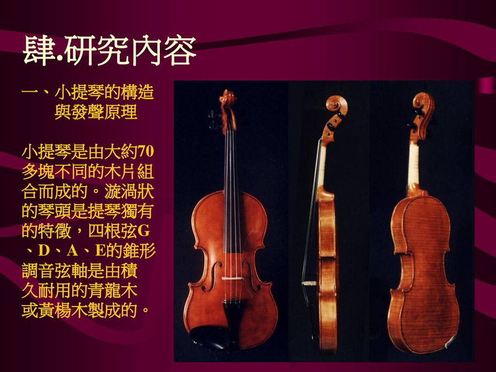 肆.研究內容 一、小提琴的構造 與發聲原理 小提琴是由大約70 多塊不同的木片組 合而成的。漩渦狀 的琴頭是提琴獨有 的特徵，四根弦G