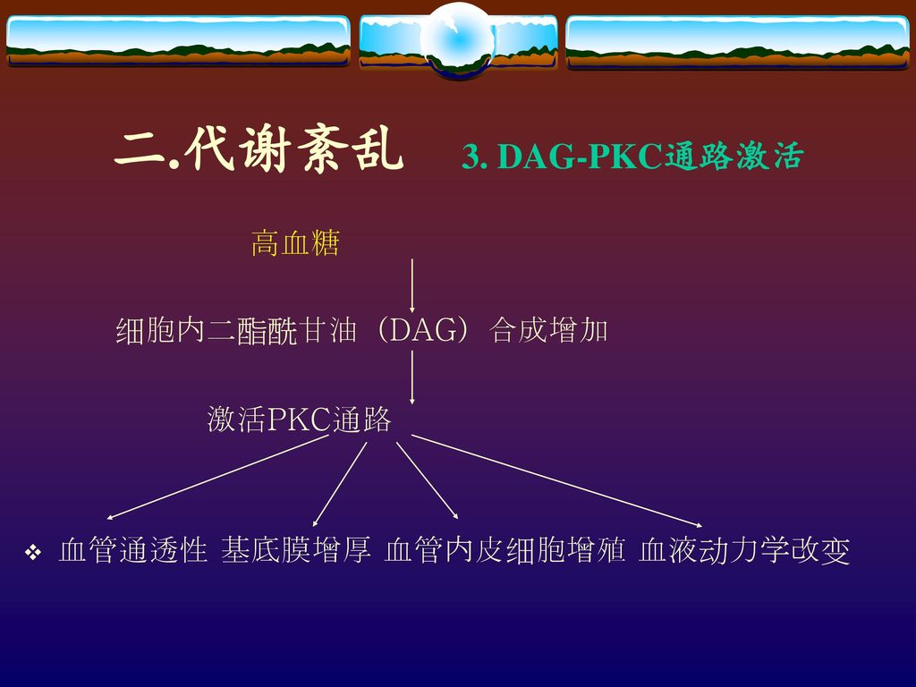 二.代谢紊乱 3. DAG-PKC通路激活 高血糖 细胞内二酯酰甘油（DAG）合成增加 激活PKC通路