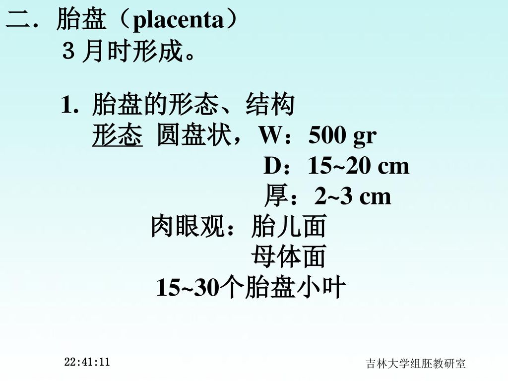二．胎盘（placenta） ３月时形成。 1. 胎盘的形态、结构 形态 圆盘状，W：500 gr D：15~20 cm 厚：2~3 cm