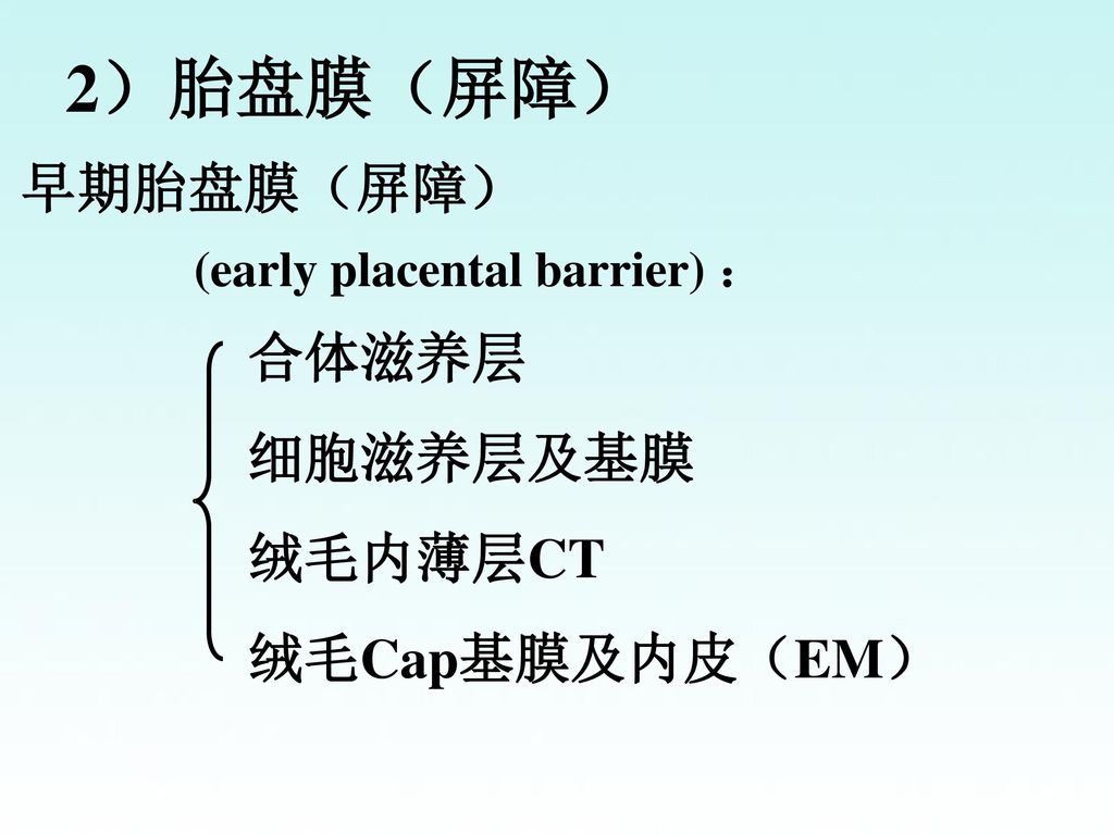 2）胎盘膜（屏障） 早期胎盘膜（屏障） 合体滋养层 细胞滋养层及基膜 绒毛内薄层CT 绒毛Cap基膜及内皮（EM）