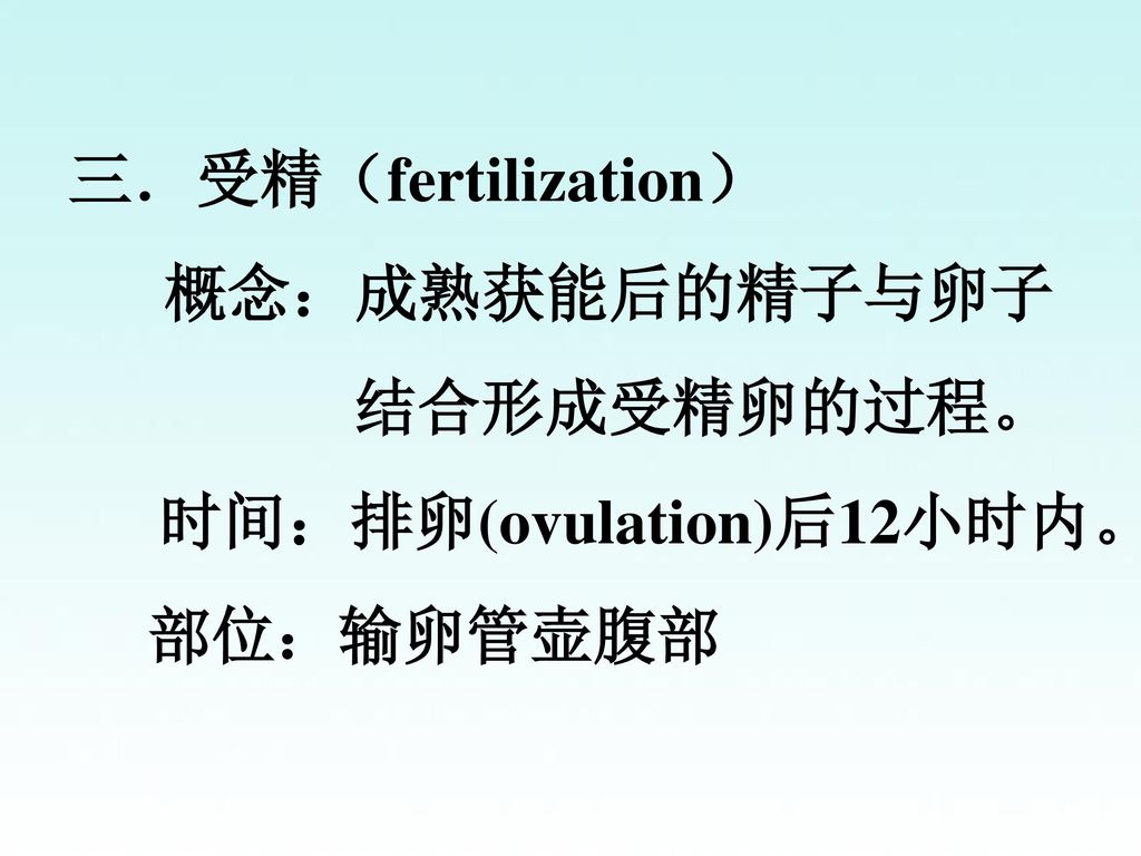 三．受精（fertilization） 概念：成熟获能后的精子与卵子 结合形成受精卵的过程。 时间：排卵(ovulation)后12小时内。 部位：输卵管壶腹部