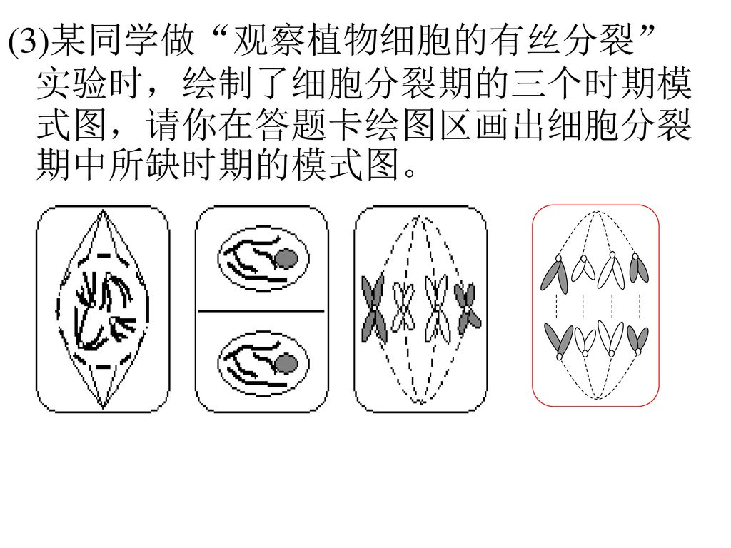 科学备考关于高考命题新课标高考对考生的要求我们如何应对 Ppt Download