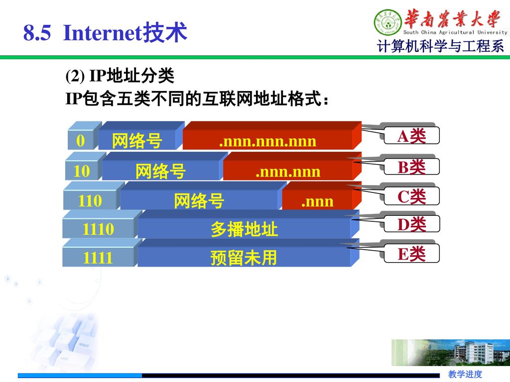 8.5 Internet技术 (2) IP地址分类 IP包含五类不同的互联网地址格式： 网络号 A类 .nnn.nnn.nnn 10