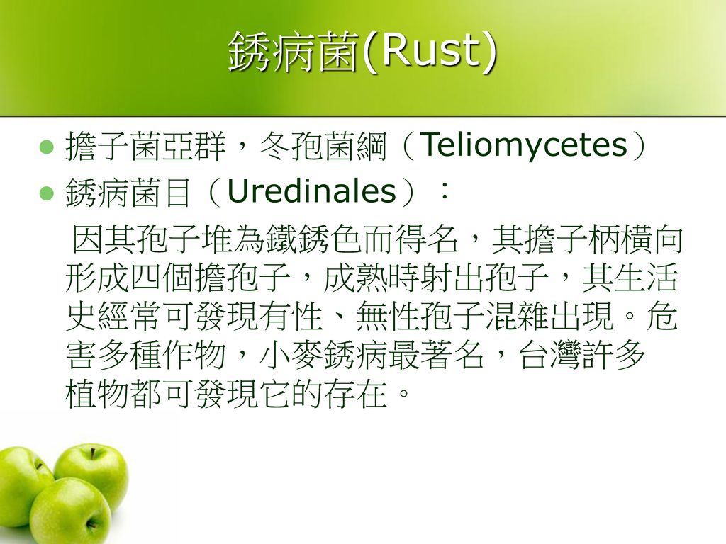 銹病菌(Rust) 擔子菌亞群，冬孢菌綱（Teliomycetes） 銹病菌目（Uredinales）：