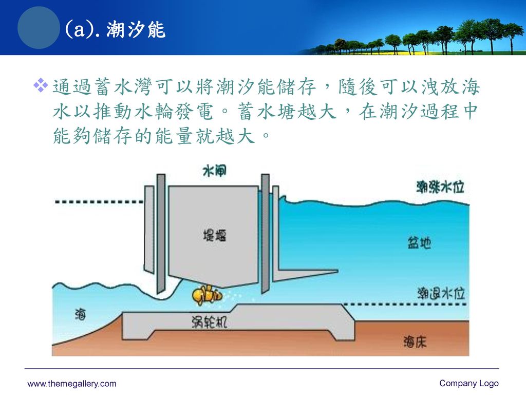 (a).潮汐能 通過蓄水灣可以將潮汐能儲存，隨後可以洩放海 水以推動水輪發電。蓄水塘越大，在潮汐過程中 能夠儲存的能量就越大。