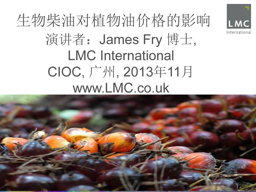 生物柴油对植物油价格的影响 演讲者：James Fry 博士, LMC International CIOC, 广州, 2013年11月