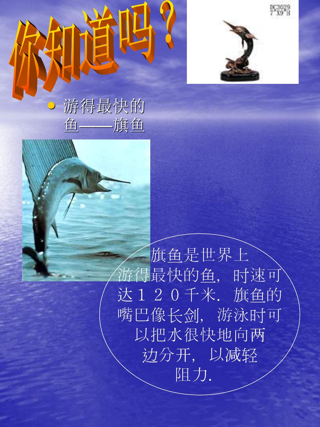 你知道吗？ 游得最快的鱼——旗鱼 旗鱼是世界上 游得最快的鱼，时速可 达１２０千米．旗鱼的 嘴巴像长剑，游泳时可 以把水很快地向两