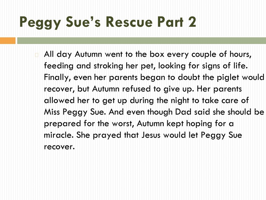 Peggy Sue’s Rescue Part 2