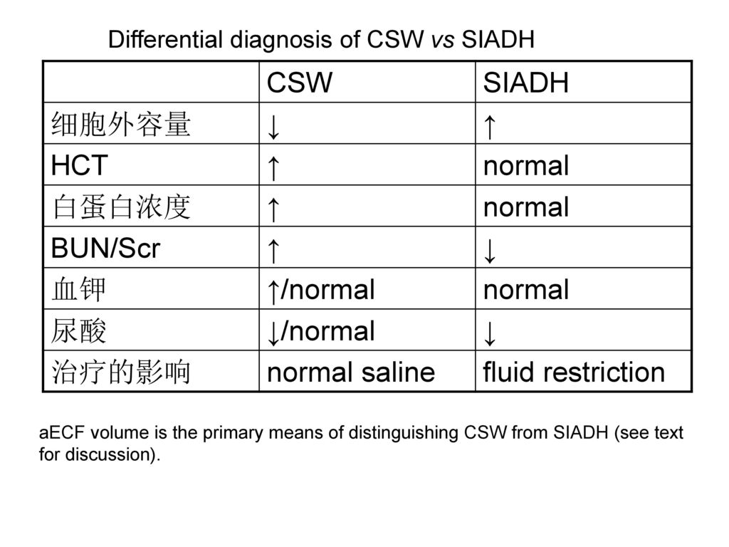 低钠血症饶向荣 Ppt Download