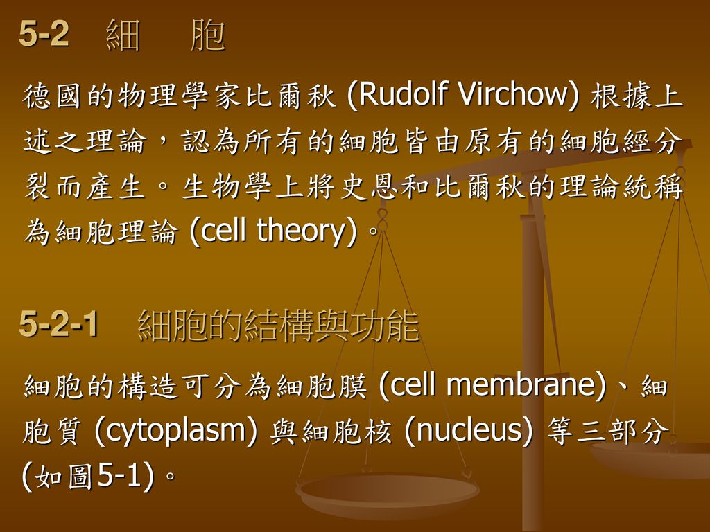 5-2 細 胞 細胞的結構與功能 德國的物理學家比爾秋 (Rudolf Virchow) 根據上