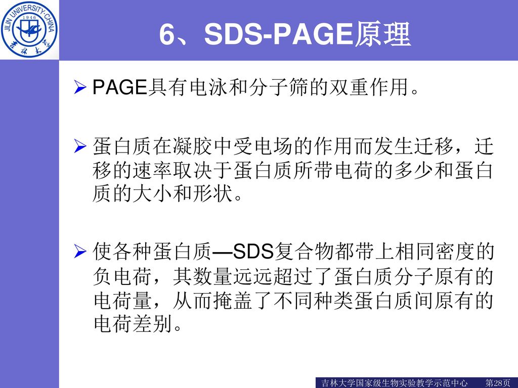 6、SDS-PAGE原理 PAGE具有电泳和分子筛的双重作用。