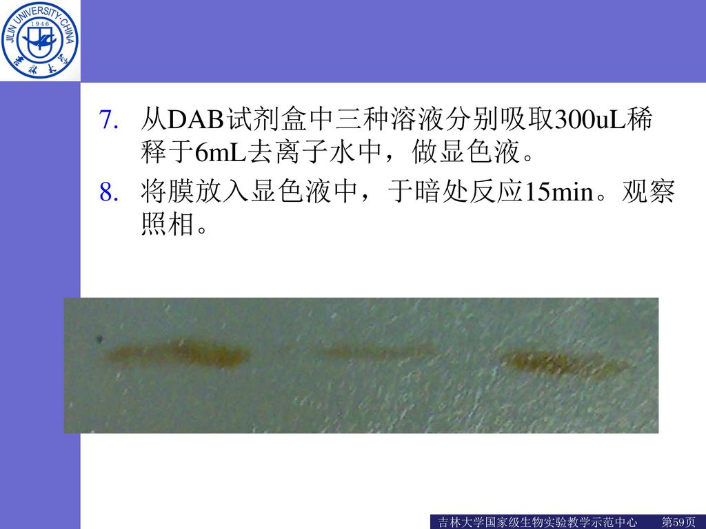 从DAB试剂盒中三种溶液分别吸取300uL稀释于6mL去离子水中，做显色液。