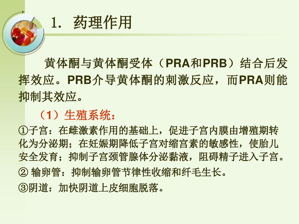 1. 药理作用 黄体酮与黄体酮受体（PRA和PRB）结合后发挥效应。PRB介导黄体酮的刺激反应，而PRA则能抑制其效应。 （1）生殖系统：