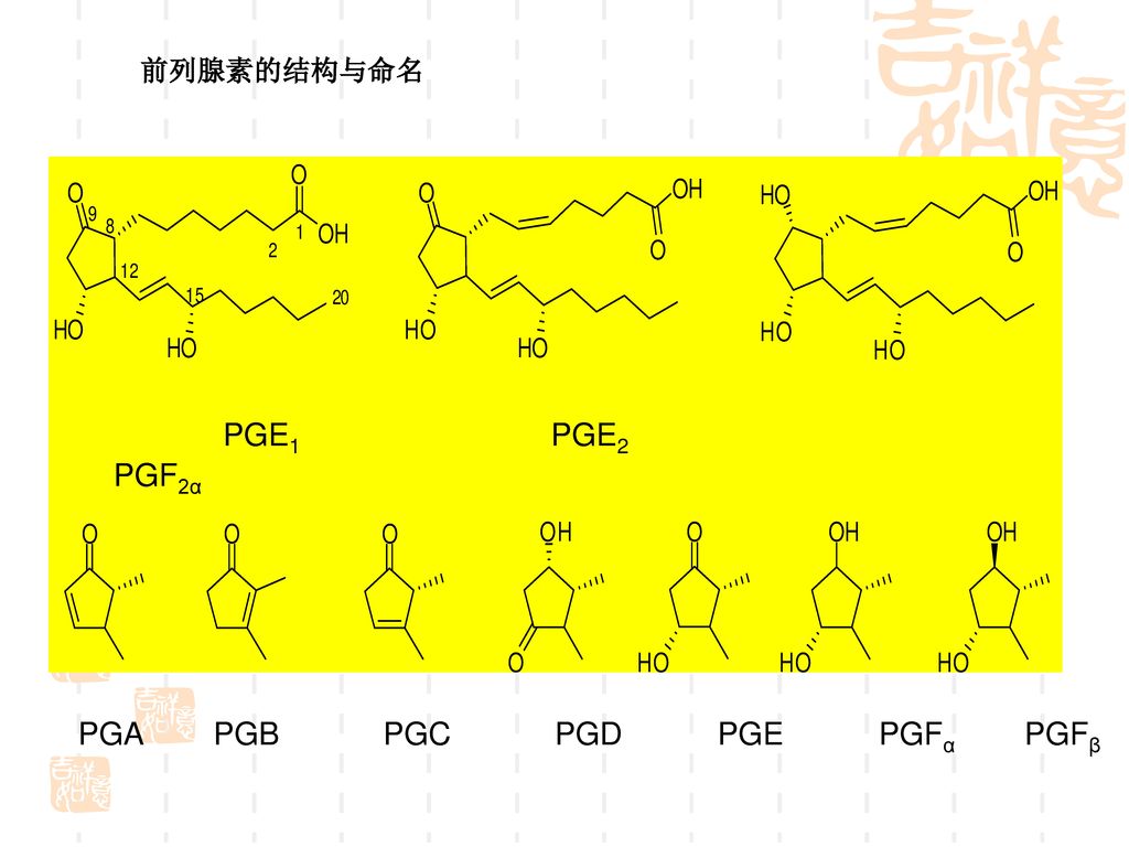 前列腺素的结构与命名 PGE1 PGE2 PGF2α.