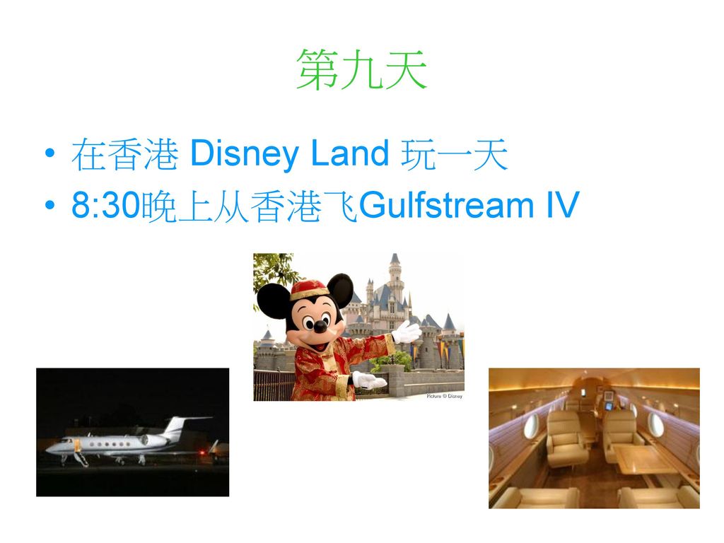 第九天 在香港 Disney Land 玩一天 8:30晚上从香港飞Gulfstream IV
