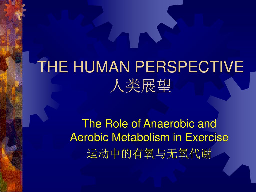 THE HUMAN PERSPECTIVE 人类展望