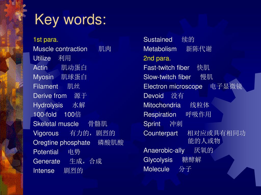 Key words: 1st para. Muscle contraction 肌肉 Utilize 利用 Actin 肌动蛋白