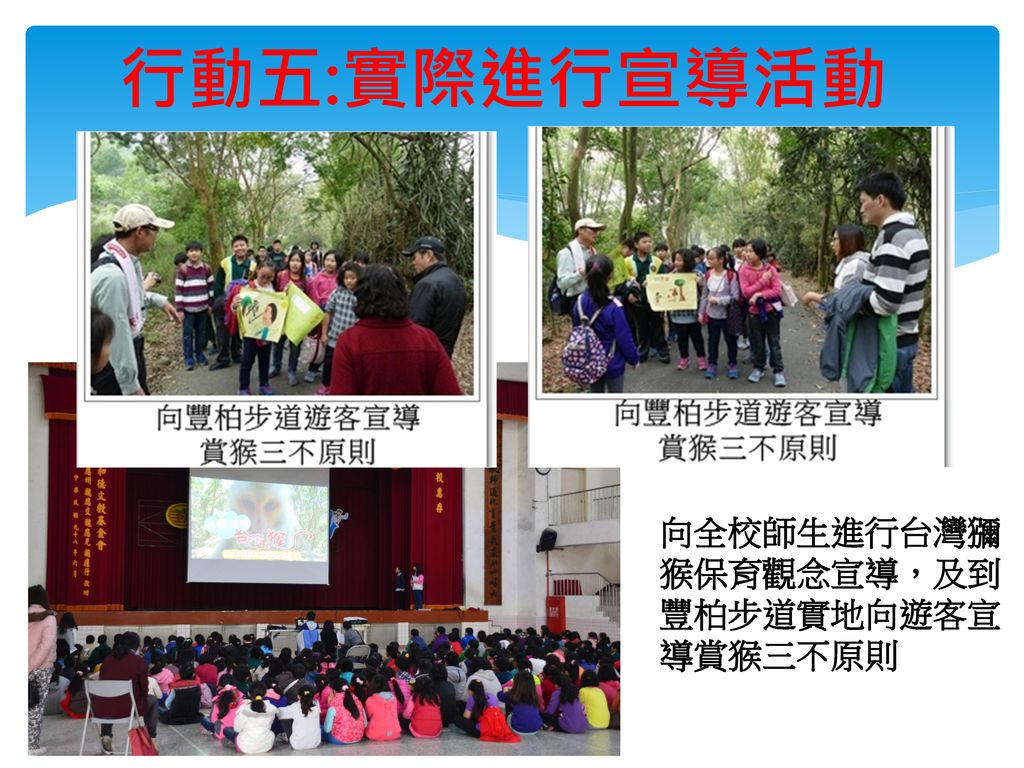行動五:實際進行宣導活動 向全校師生進行台灣獼猴保育觀念宣導，及到豐柏步道實地向遊客宣導賞猴三不原則
