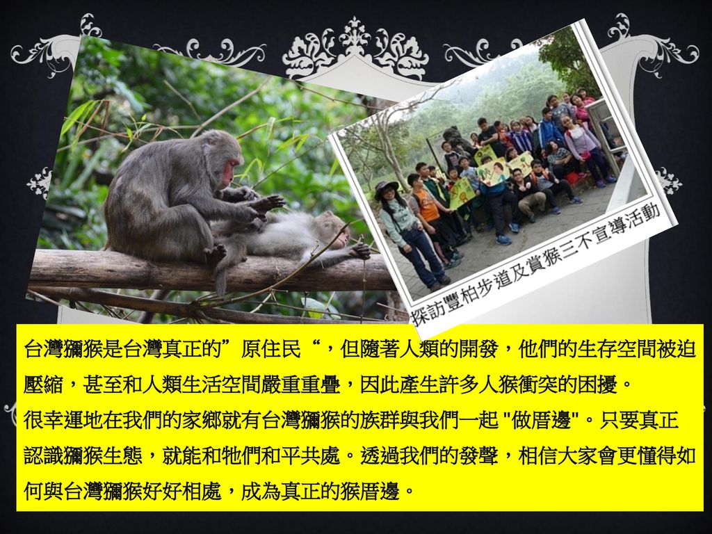台灣獼猴是台灣真正的 原住民 ，但隨著人類的開發，他們的生存空間被迫壓縮，甚至和人類生活空間嚴重重疊，因此產生許多人猴衝突的困擾。