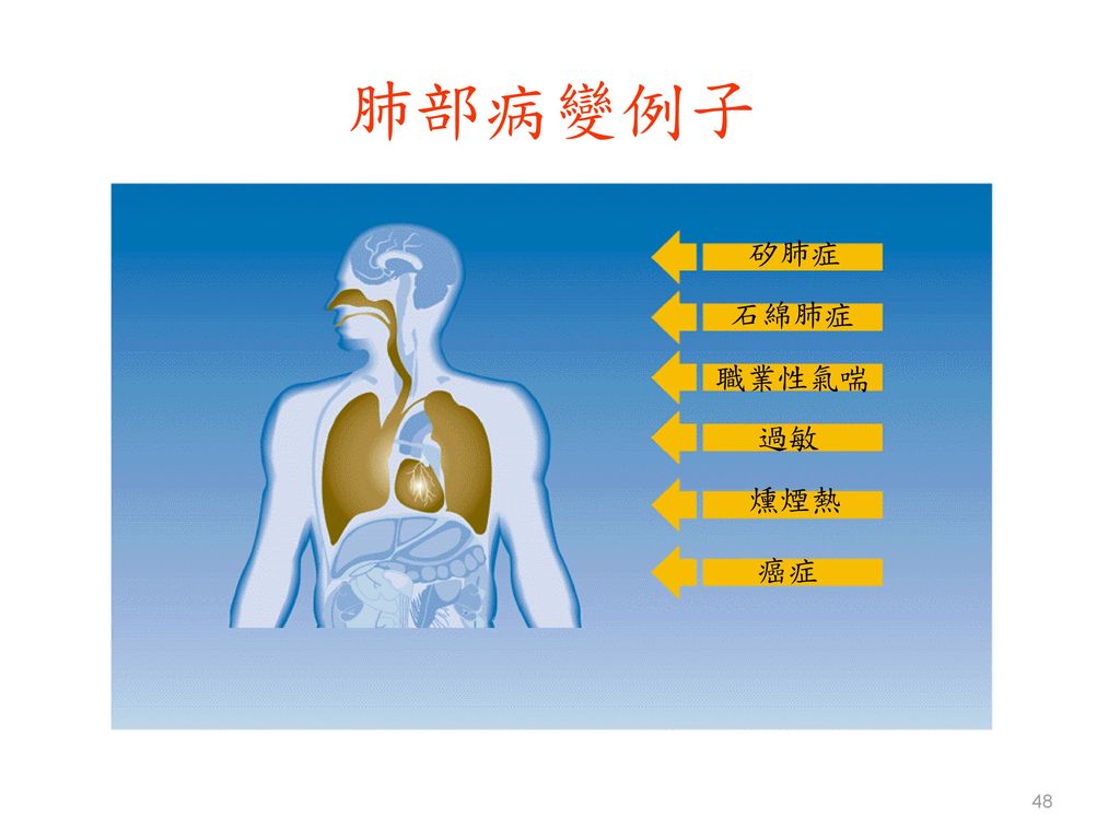 肺部病變例子 矽肺症 石綿肺症 職業性氣喘 過敏 燻煙熱 癌症