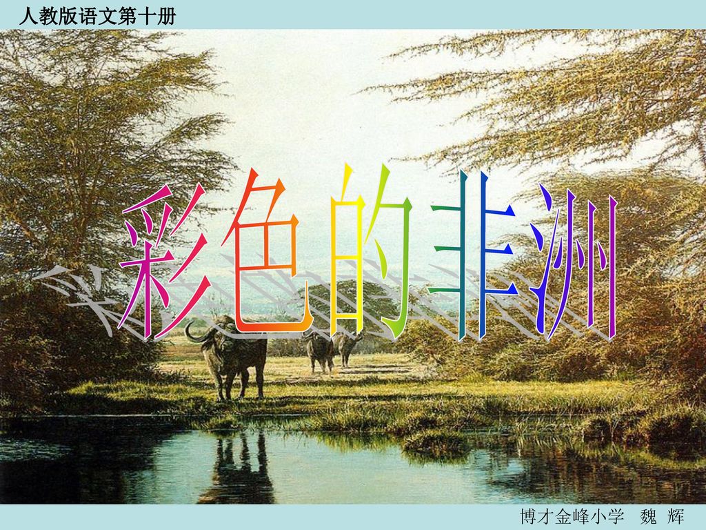 人教版语文第十册 彩色的非洲 博才金峰小学 魏 辉