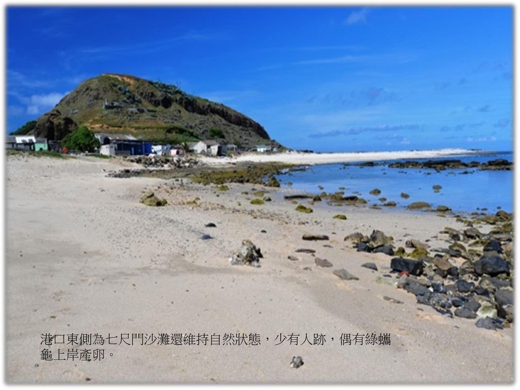 港口東側為七尺門沙灘還維持自然狀態，少有人跡，偶有綠蠵龜上岸產卵。