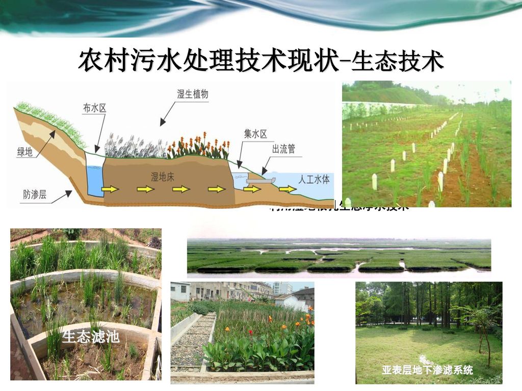 农村污水处理技术现状-生态技术 利用湿地根孔生态净水技术 亚表层地下渗滤系统 生态滤池 19