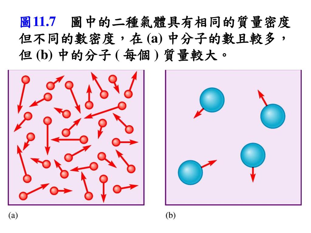圖11.7 圖中的二種氣體具有相同的質量密度但不同的數密度，在 (a) 中分子的數且較多，但 (b) 中的分子 ( 每個 ) 質量較大。