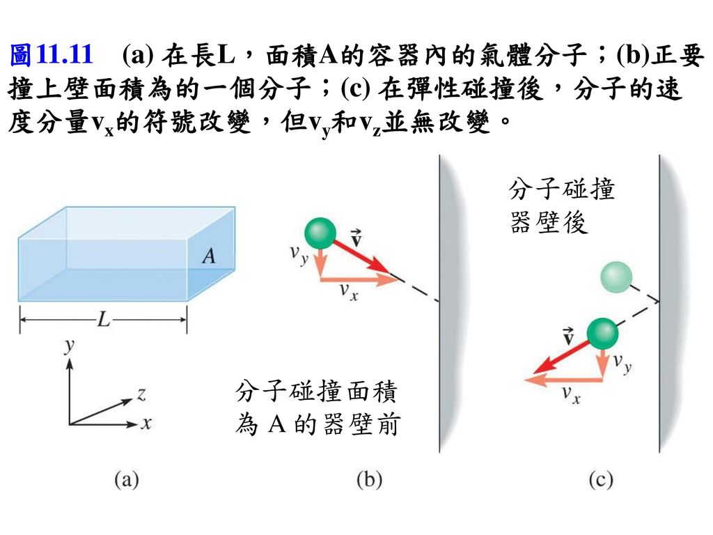 圖11.11 (a) 在長L，面積A的容器內的氣體分子；(b)正要撞上壁面積為的一個分子；(c) 在彈性碰撞後，分子的速度分量vx的符號改變，但vy和vz並無改變。