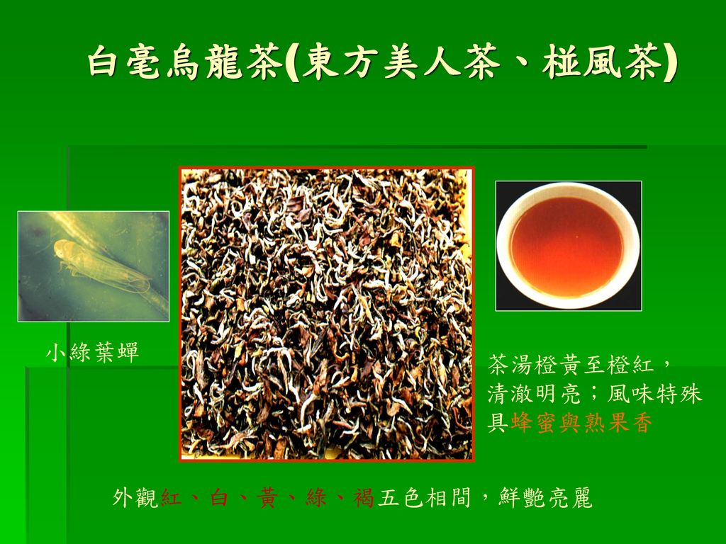 白毫烏龍茶(東方美人茶、椪風茶) 小綠葉蟬 茶湯橙黃至橙紅， 清澈明亮；風味特殊 具蜂蜜與熟果香 外觀紅、白、黃、綠、褐五色相間，鮮艷亮麗
