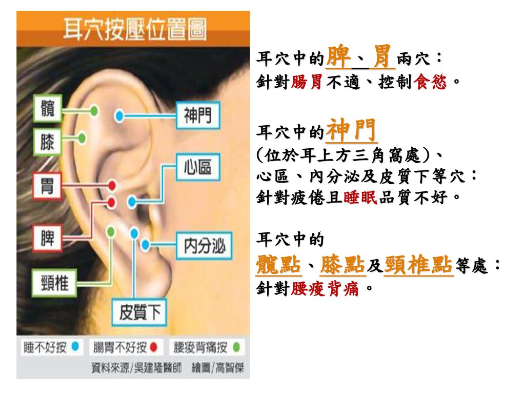 髖點、膝點及頸椎點等處： 耳穴中的脾、胃兩穴： 針對腸胃不適、控制食慾。 耳穴中的神門 (位於耳上方三角窩處)、 心區、內分泌及皮質下等穴：