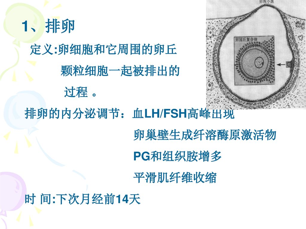 1、排卵 颗粒细胞一起被排出的 过程 。 排卵的内分泌调节：血LH/FSH高峰出现 卵巢壁生成纤溶酶原激活物 PG和组织胺增多