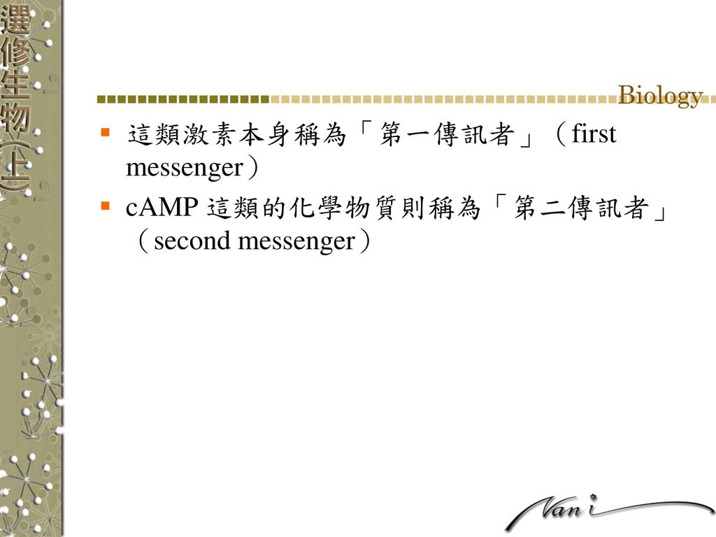 這類激素本身稱為「第一傳訊者」（first messenger）