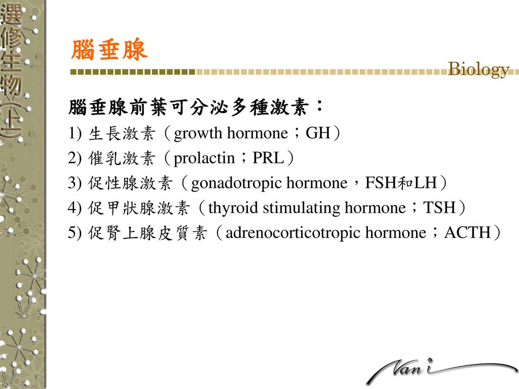 腦垂腺 腦垂腺前葉可分泌多種激素： 生長激素（growth hormone；GH） 催乳激素（prolactin；PRL）