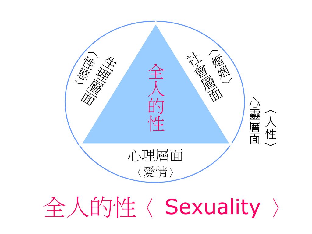 全人的性〈 Sexuality 〉 全人的性 社會層面 生理層面 心理層面 〈婚姻〉 〈性慾〉 心靈層面 〈人性〉 〈愛情〉